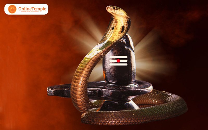 What is the Correct Method of Worshipping on Nag Panchami