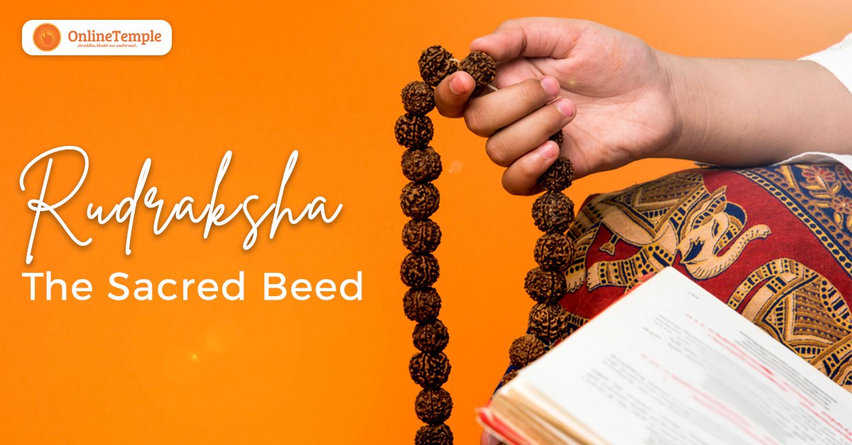 Rudraksha – The Sacred Beed