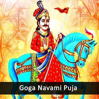 Goga Navami Puja