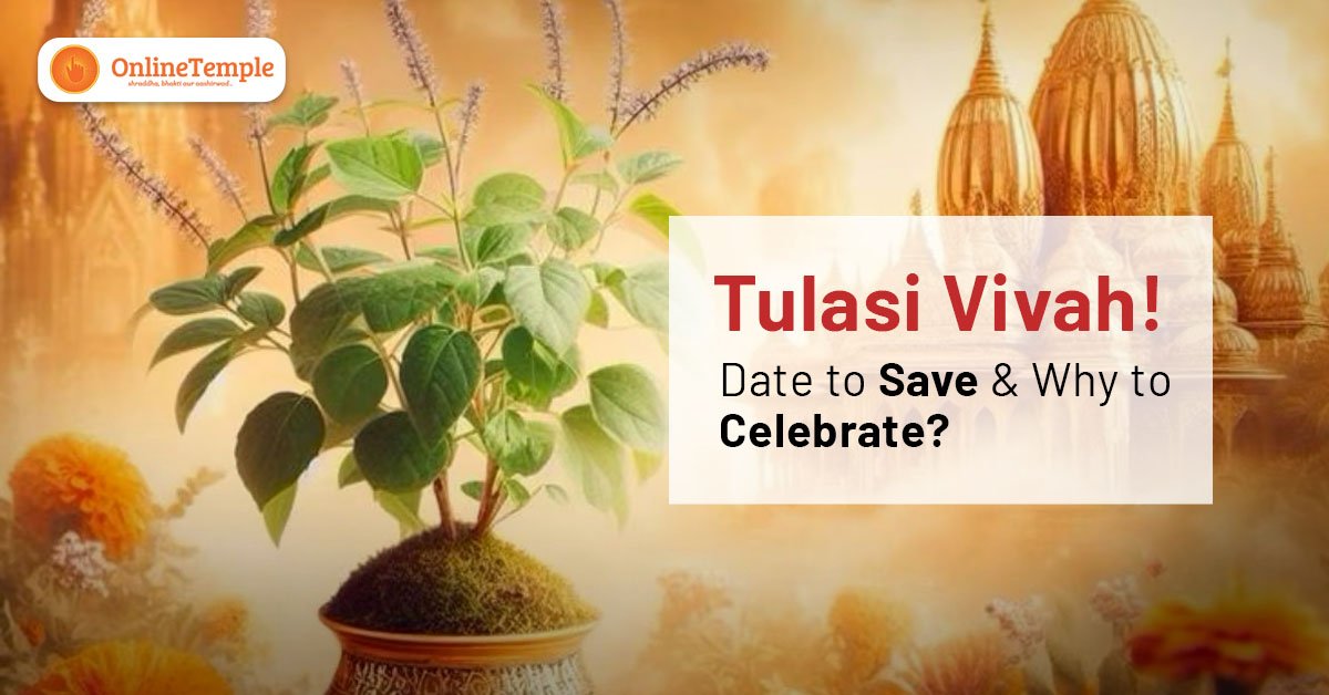 Tulasi Vivah! Date to Save & Why to Celebrate?