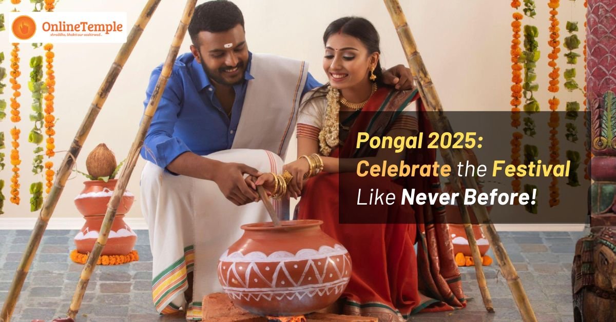 Pongal 2025: Celebrate the Festival Like Never Before!